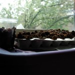 Sprouting plants