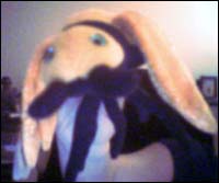 Kegi's Bee